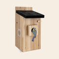 Smart nest box with camera in natural pine, with a charcoal carbonised roof and a blue tit at the entrance hole