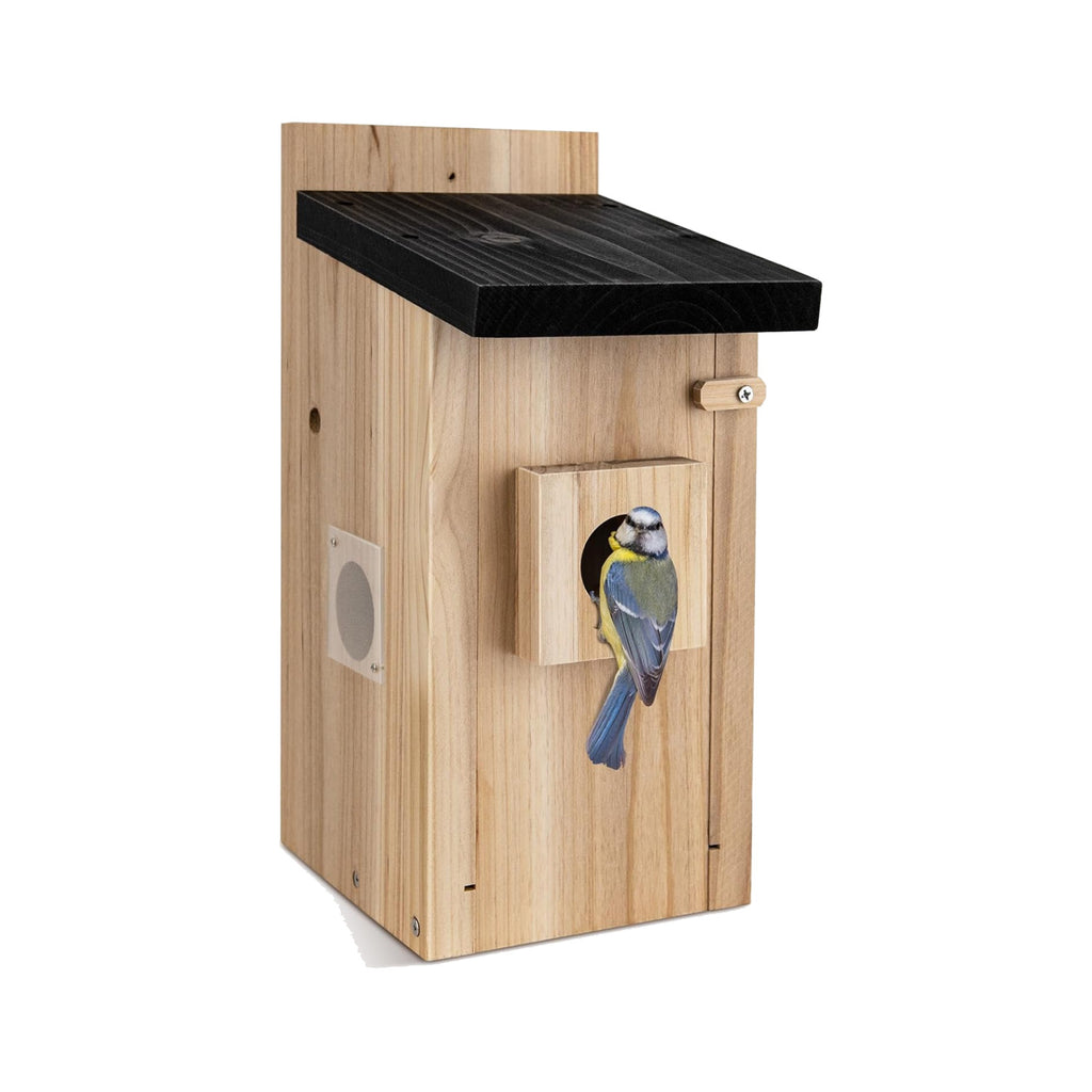 Wooden bird box camera nest box on a plain white background, with a blue tit perched at the entrance hole