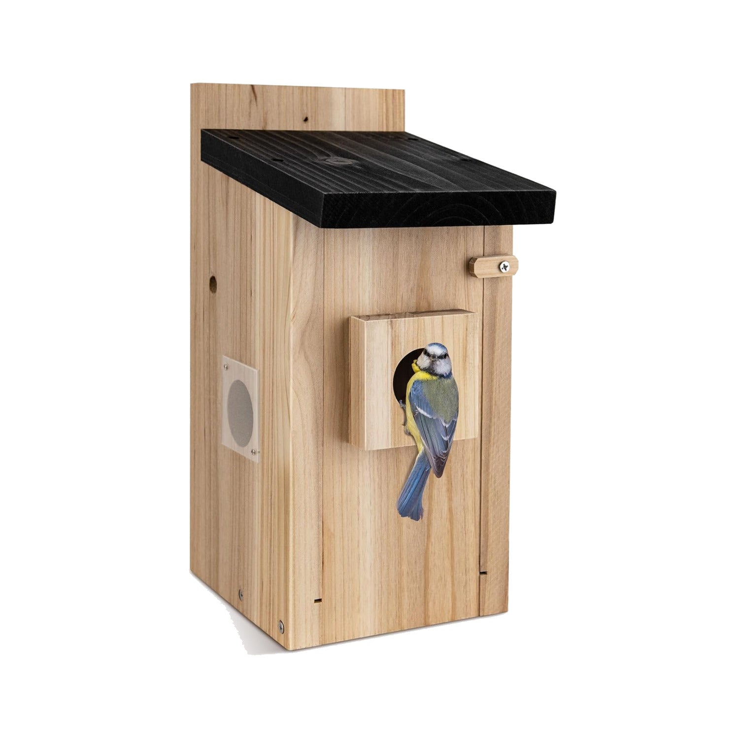 Wooden bird box camera nest box on a plain white background, with a blue tit perched at the entrance hole