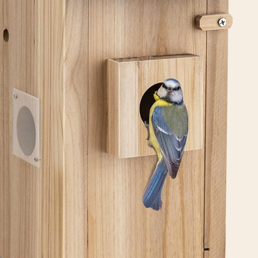 Close-up of the nest box entrance hole and the small square acrylic side panel, with a blue tit perched on the front